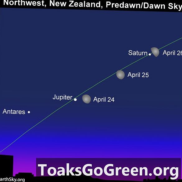 Luna y Saturno se encontrarán en el cielo de la mañana