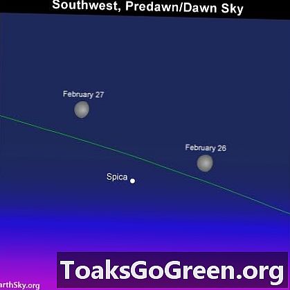 Kuu ja Spica 25. helmikuuta