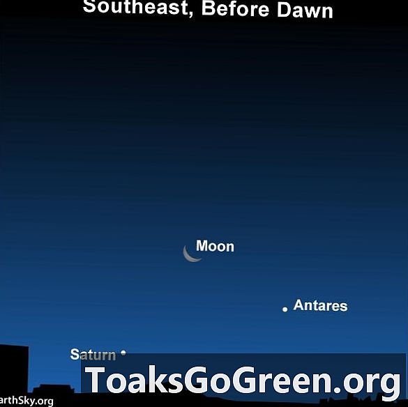 Lluna, Antares, Saturn 23-25-25 de gener