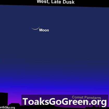Maan tussen Pleiaden en Hoofd van Ram op 15 maart