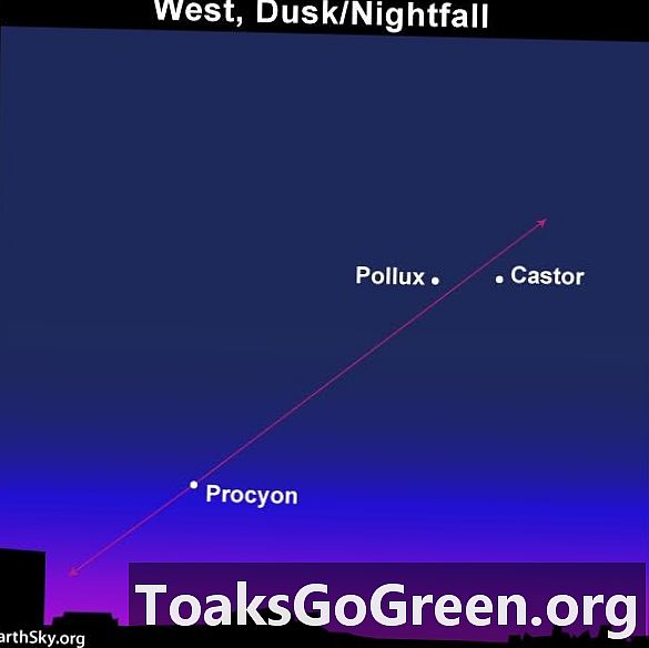 القمر ، نجوم الجوزاء ، Procyon في 28 مايو