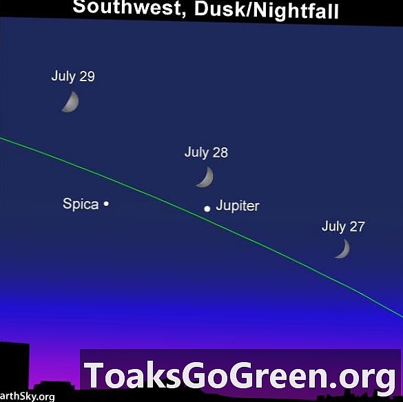 Mėnulis, Jupiteris ir Spica liepos 28 d