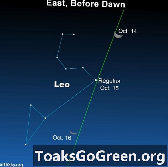 Maan occult Regulus op 15 oktober
