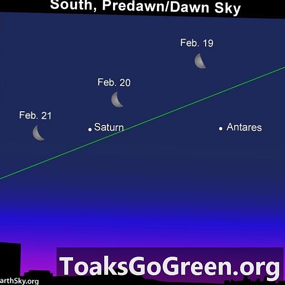 Kuu, Saturnus, Antares varhain maanantaina
