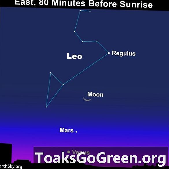 Kuu, Veenus, Mars järgmisel paaril hommikul