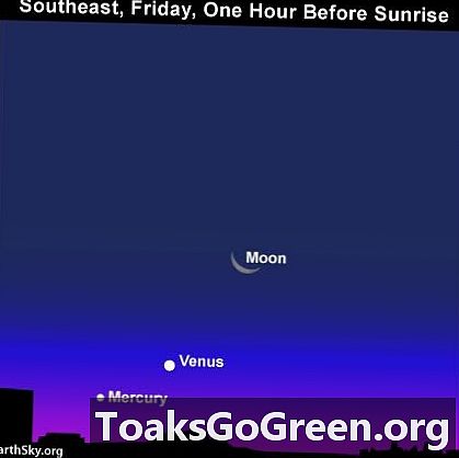 Mesiac, Venuša, Ortuť najbližších pár rán