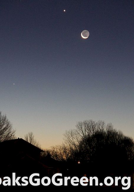 Měsíc, Venuše, Merkur v příštích několika ranních hodinách