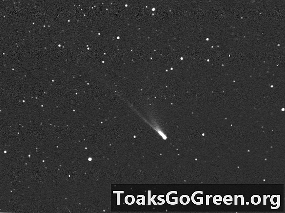 Fler bevis på att kometer kunde ha sådd liv på jorden