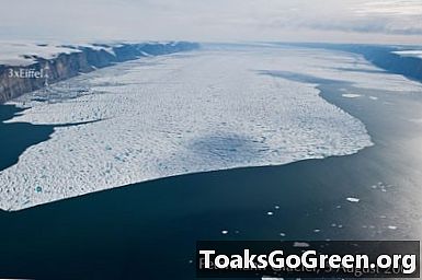 Mất nhiều băng hơn trước cho Petermann Glacier ở Greenland