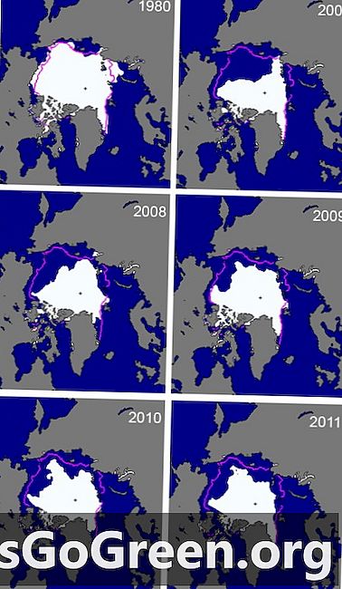 Uuring kinnitas, et enamus merepinda tõuseb polaarjää sulamise tõttu