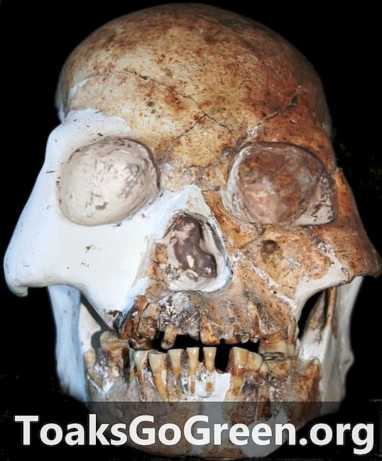 Çin'de bulunan gizemli "Kızıl geyik Mağarası insanları" fosilleri