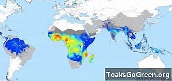 Peta baru menunjukkan malaria di seluruh dunia