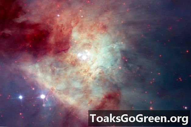 オリオン星雲の新しいモザイク