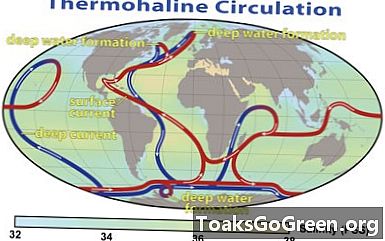 Jauns pētījums: iespējama Atlantijas okeāna cirkulācijas sabrukšana