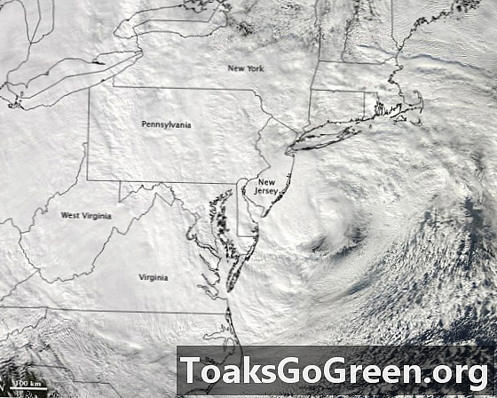 NOAA forventer en aktiv 2013 atlantisk orkansæson