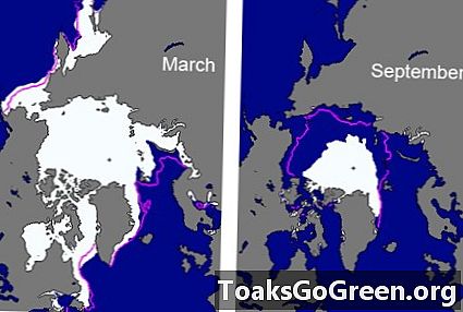 NOAA izlaiž 2012. gada Arktikas ziņojuma karti