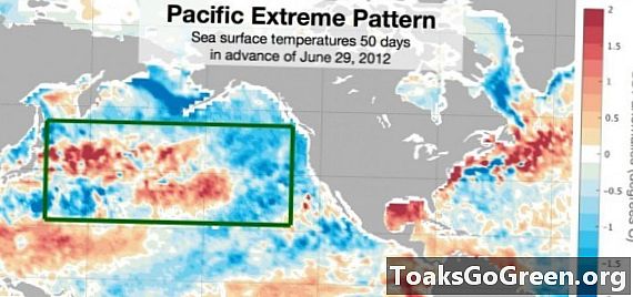 Ookeanitempod ennustavad kuumalaineid 50 päeva vältel