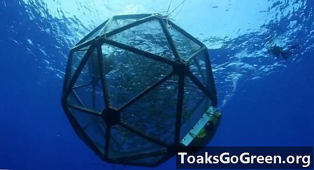Offshore aquacultuurproject aan de gang in Hawaï