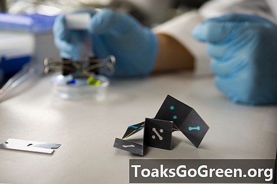 El sensor de paper inspirat en origami podria provar menys de 10 cèntims de malària i VIH