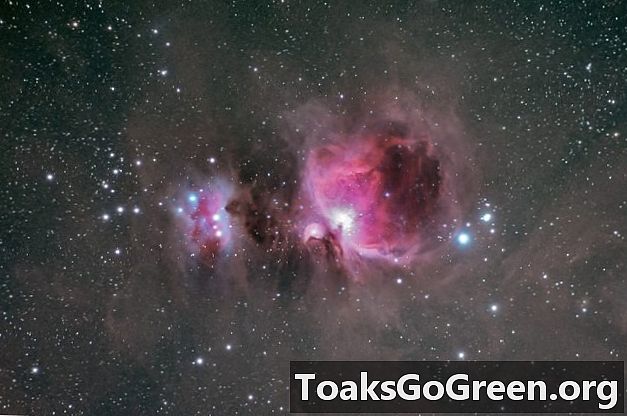 Nebulosa di Orione e nuvole di gas molecolari