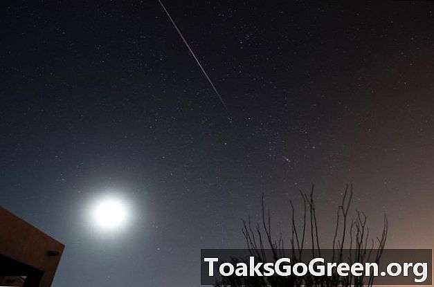 Orionidní meteor v měsíčním světle
