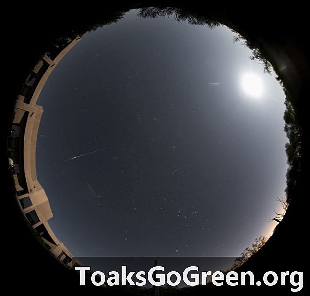 Метеоры Орионид поздно ночью до рассвета