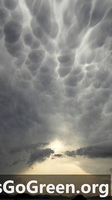 Mønstre i mammatus skyer