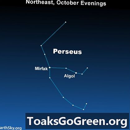 Perseus the Hero and a Demon Star