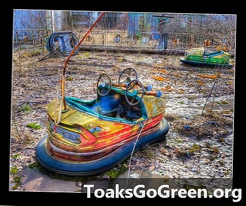 Valokuvaaja Tšernobylista löytää kauneuden tuhojen keskellä