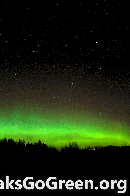 Arkadaşlardan fotoğraflar: auroralar için harika bir gece
