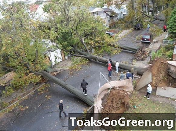 Képek és videóinak következményei a Sandy hurrikánról