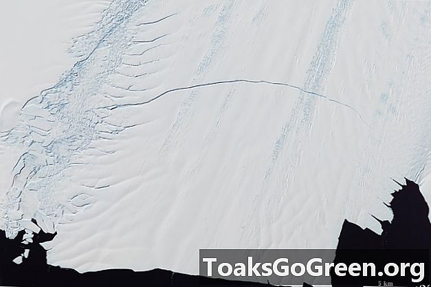 Priežu salas ledājs ir saplaisājis un radīs milzu aisbergu