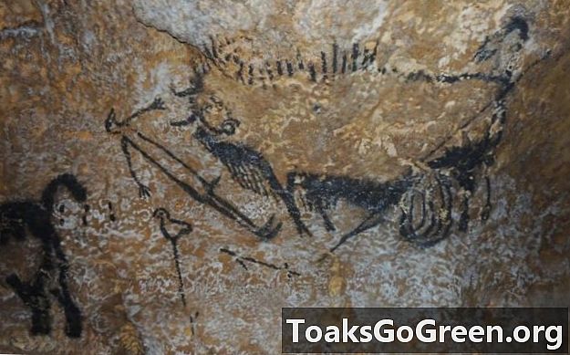 Die prähistorische Höhlenkunst lässt auf die Verwendung der komplexen Astronomie in der Antike schließen