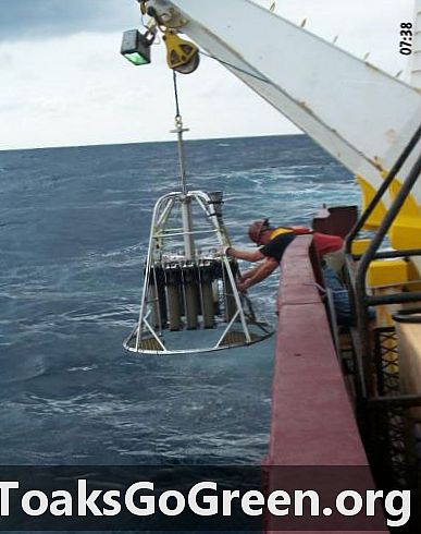 התאוששות חיי הים העמוק לאחר שפיכת נפט במפרץ עשויה לארוך עשרות שנים