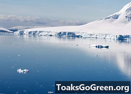A kutató elemzi az antarktiszi jégáramlást a pingvin paradicsomában