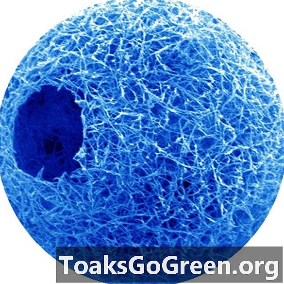 Các nhà nghiên cứu tiêm các quả cầu nano mang tế bào vào vết thương để phát triển mô