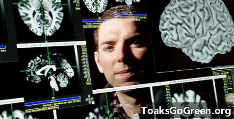 Forskere kartlegger hjernens emosjonelle intelligens