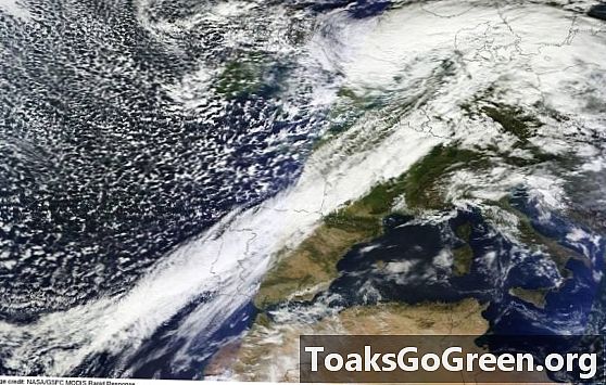 Furtuna de vânt salvatic ucide cel puțin 13 în Europa