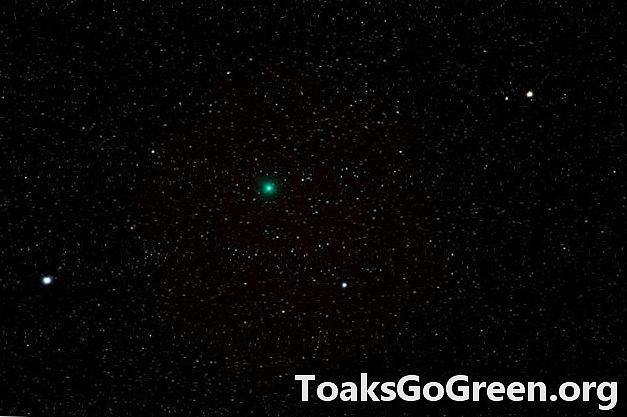 보세요! 빠른 혜성 이와 모토 사진