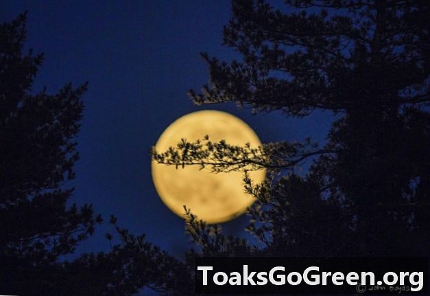Mireu-ho! Fotos del solstici de lluna plena
