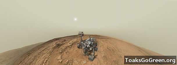 Mars'taki Merak gezicisinin portresi