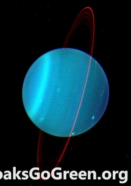 Siri benjolan kecil mungkin telah mengetuk Uranus ke sisi