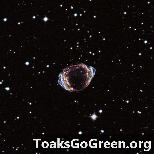 Concha de uma supernova recente