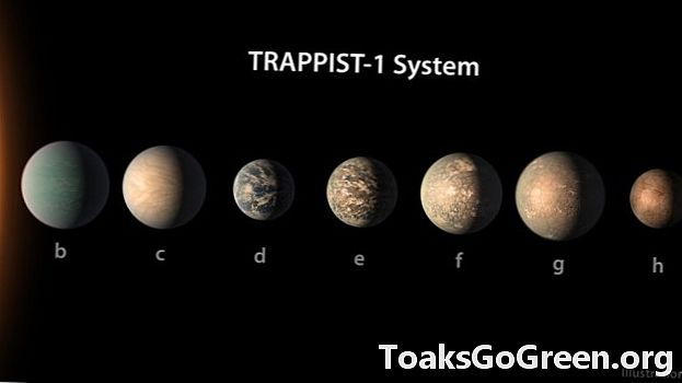 Nogle TRAPPIST-1-exoplaneter kan være som Venus