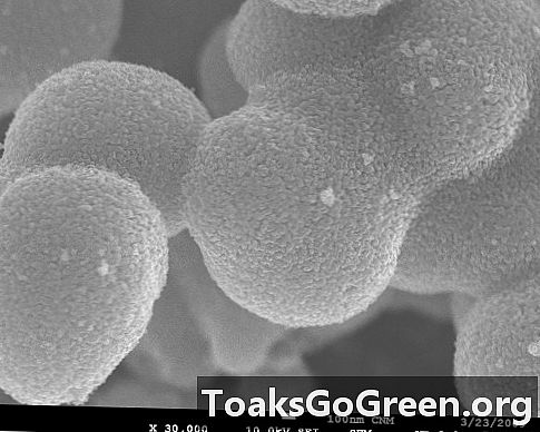 Alcuni tipi di nanoparticelle influenzano negativamente il cuore del test