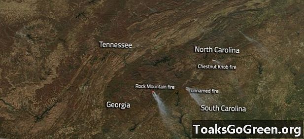 Divlje vatre na jugoistoku SAD-a još uvijek plamte