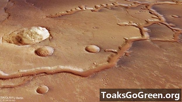 Erdvėlaivis šnipinėja upės relikviją Marse