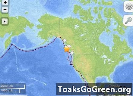 Stærkt Canada-jordskælv på 7,7 i størrelsesorden beder om tsunami-advarsel