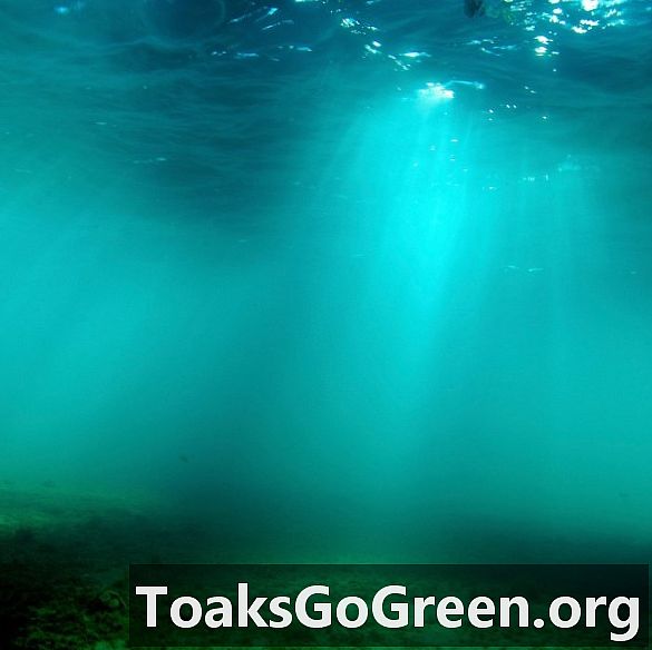 Studi: Hilangnya luas oksigen laut pada tahun 2030-an