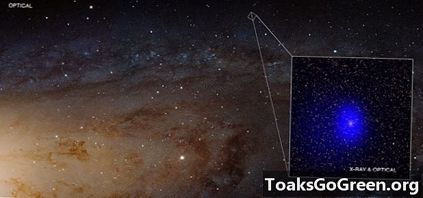 Supermassive Fotobombe der Schwarzen Löcher Andromeda-Galaxie